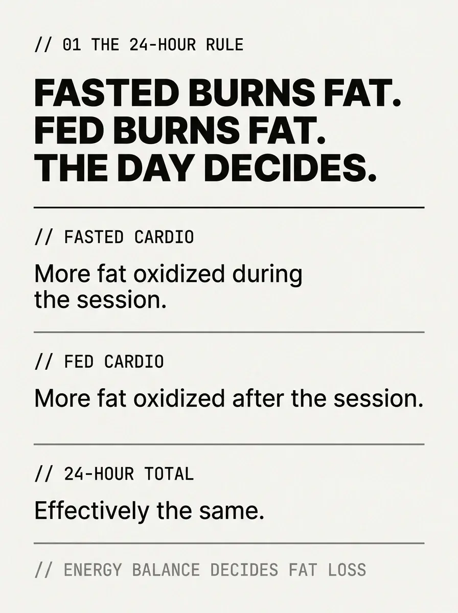 Infographic showing that fasted cardio burns more fat during the session, fed cardio burns more after, and the 24-hour total is effectively the same - fasted cardio for fat loss