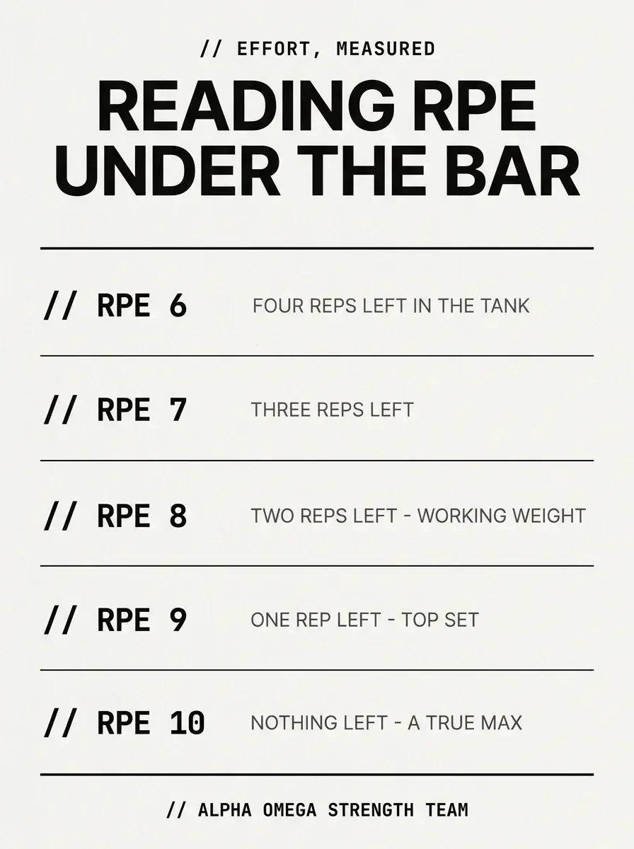 Infographic reading the RPE scale for the squat, from RPE 6 to RPE 10 - squat programming for intermediate lifters